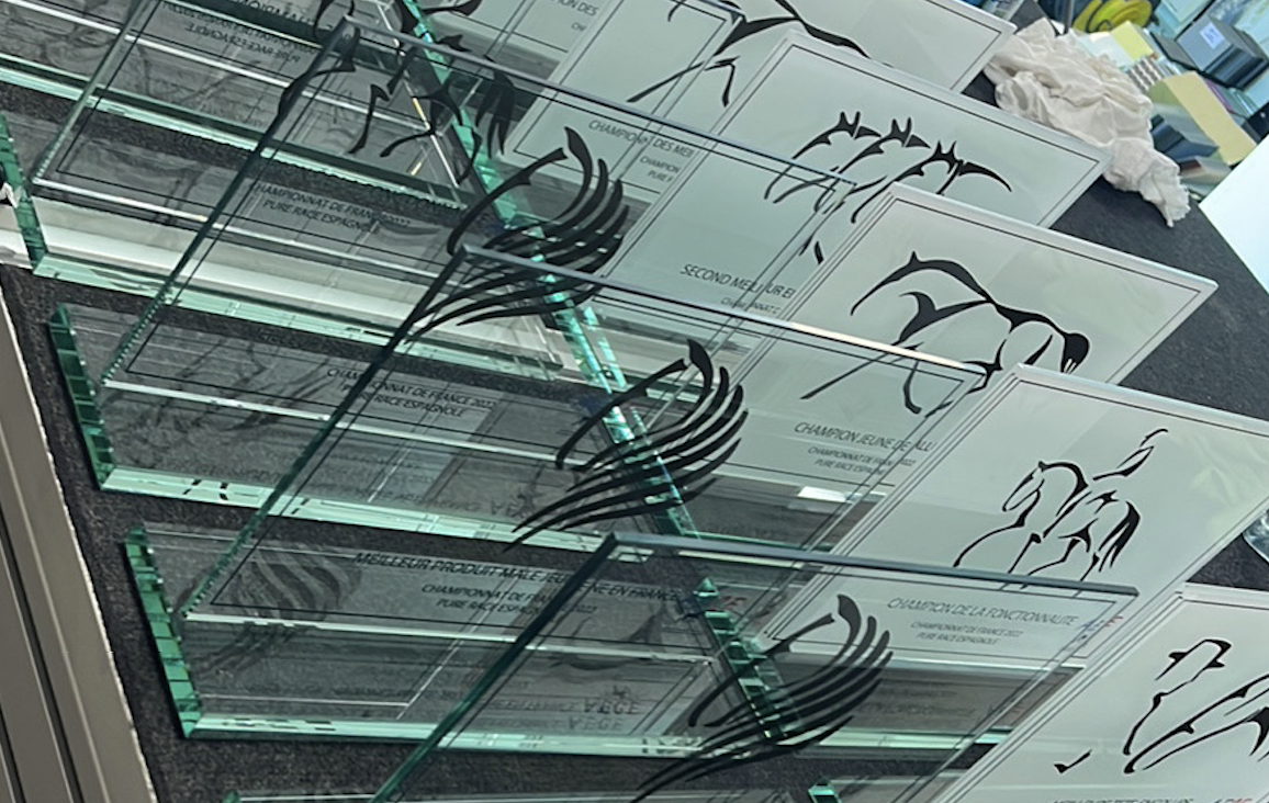 Trophée en collage UV